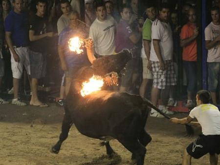 Busquen Llar